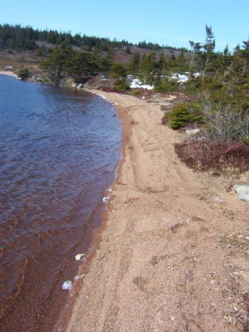 610: Red Island - the Sandpond. (2003) [courtesy of Stephen Mulrooney]